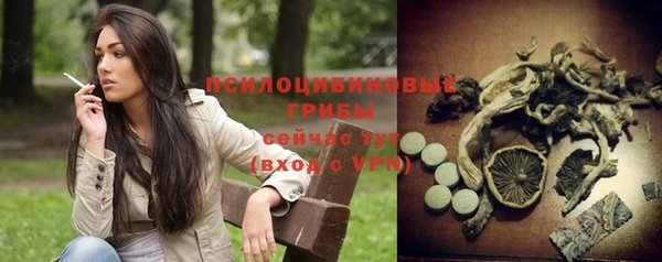марки nbome Ельня