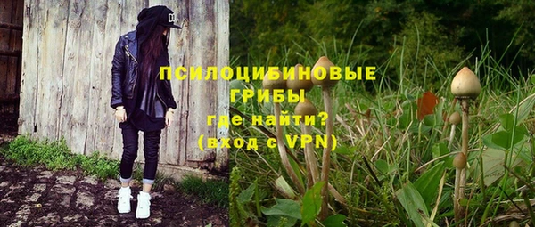 марки nbome Ельня